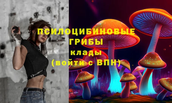 винт Богданович